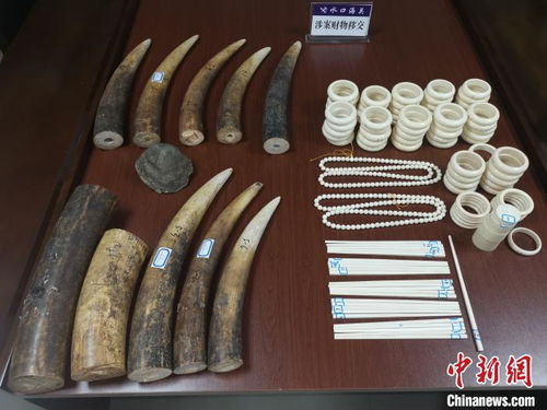 水口海關(guān)向林業(yè)局移交走私動(dòng)物制品，加強(qiáng)生物資源保護(hù)執(zhí)法合作