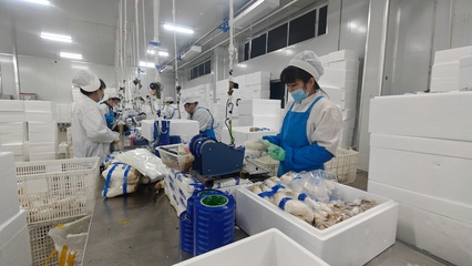 安圖生物 鉚足干勁抓生產(chǎn)，奮力沖刺生物制品“開門紅”